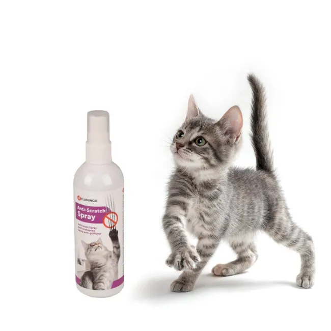 SPRAY ANTI-ARAÑAZOS 01.webp